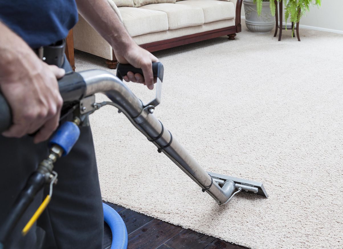 professional-carpet-cleaning-northamptonshire