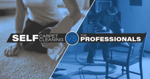 Professional Carpet Cleaning vs. Do-It-Yourself Carpet Cleaning