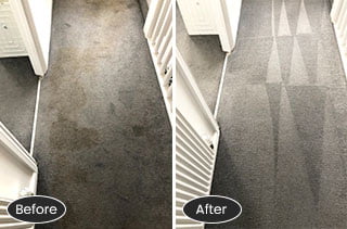 Carpet Cleaning Pet Urine before/after