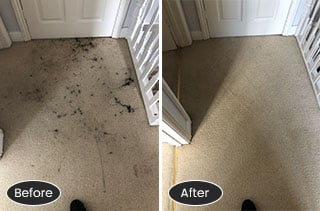 Carpet Cleaning Ink Stained Carpet before/after