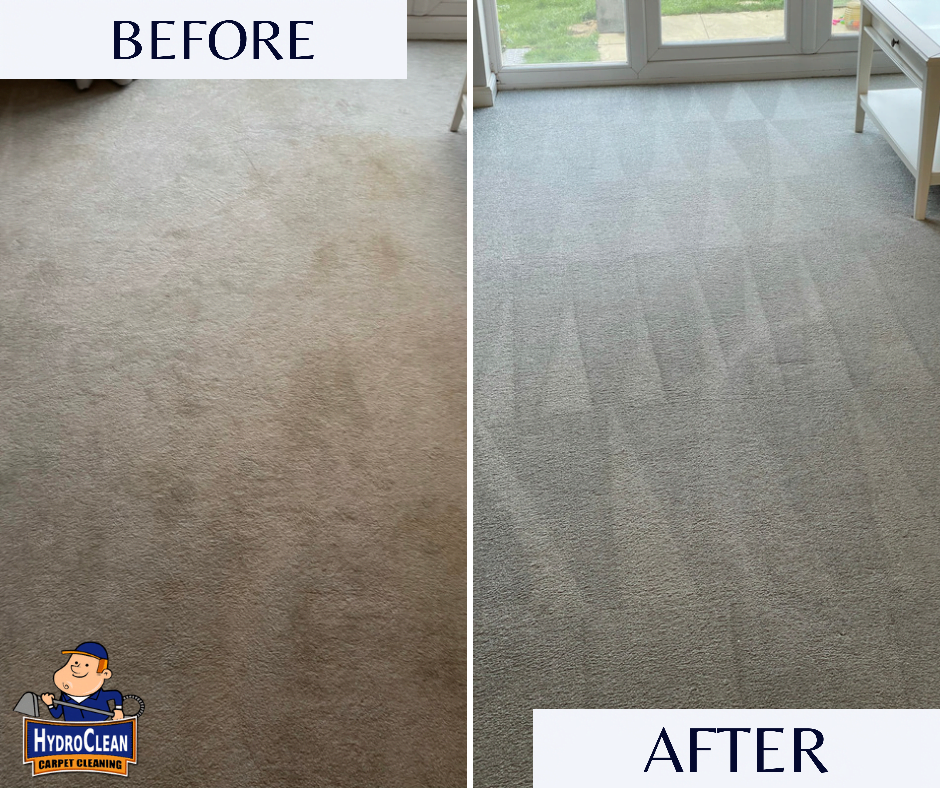 Carpet Cleaning in Kettering (lounge)