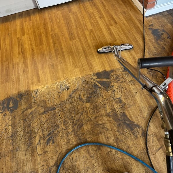 Tile and grout cleaning in Kettering NN14 restoring stained grout lines