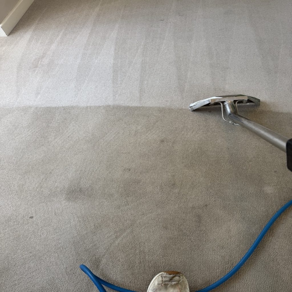 Cleaning Lounge Carpet in Kettering