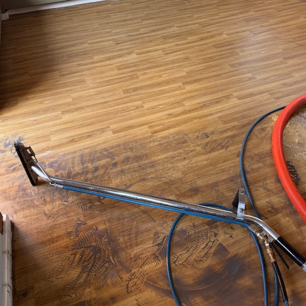 Tile and grout cleaning in Bedford MK42 restoring stained grout lines