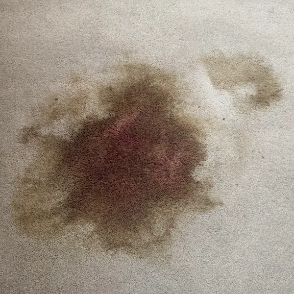 Blood stained carpet before professional cleaning