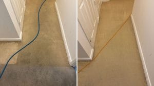 Before-and-after comparison of a heavily soiled hallway carpet cleaned in a Rushden flat
