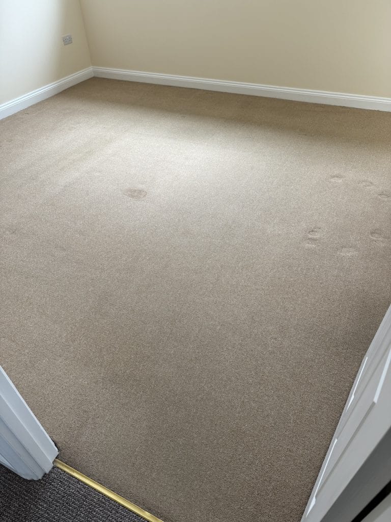 Light-coloured wool carpet after printer ink removal in Broughton