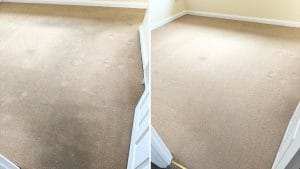 Before-and-after comparison of printer ink removed from a wool carpet in Broughton near Kettering