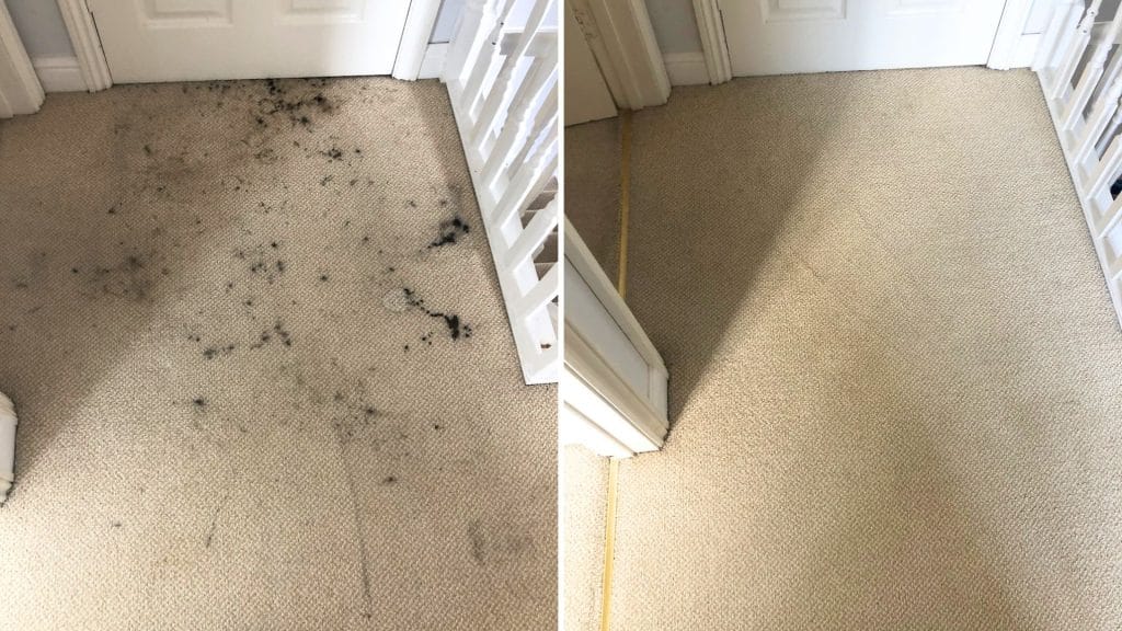 Printer ink removed from a carper in Broughton, Kettering