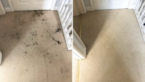 Printer ink removed from a carper in Broughton, Kettering