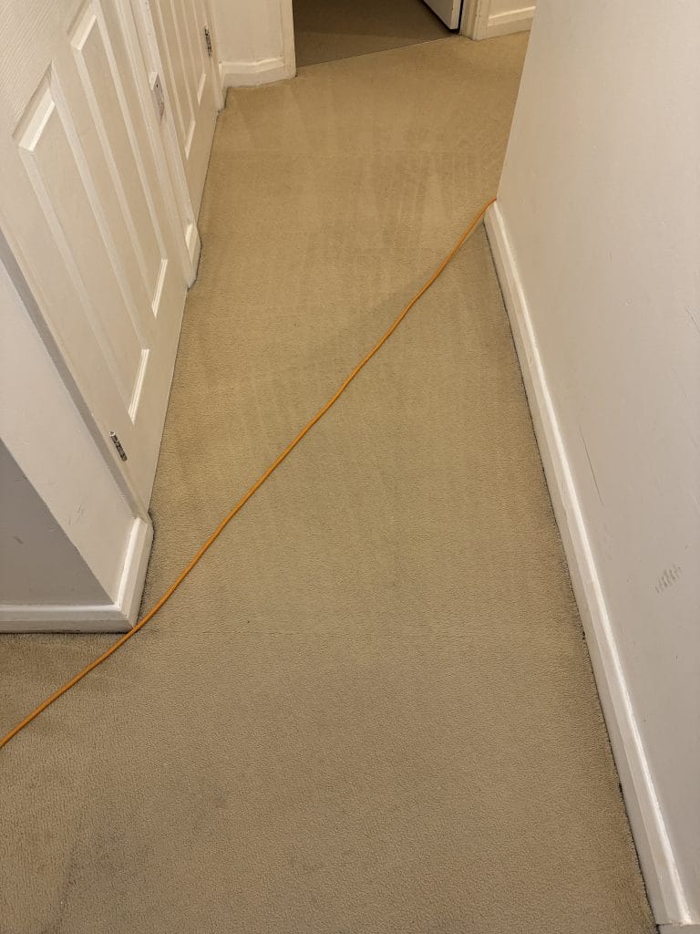 Hallway carpet after professional cleaning in a Rushden flat