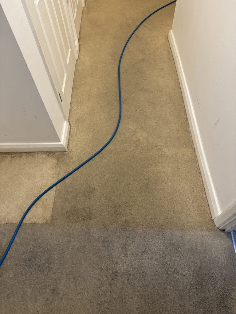Heavily soiled hallway carpet before cleaning in a Rushden flat