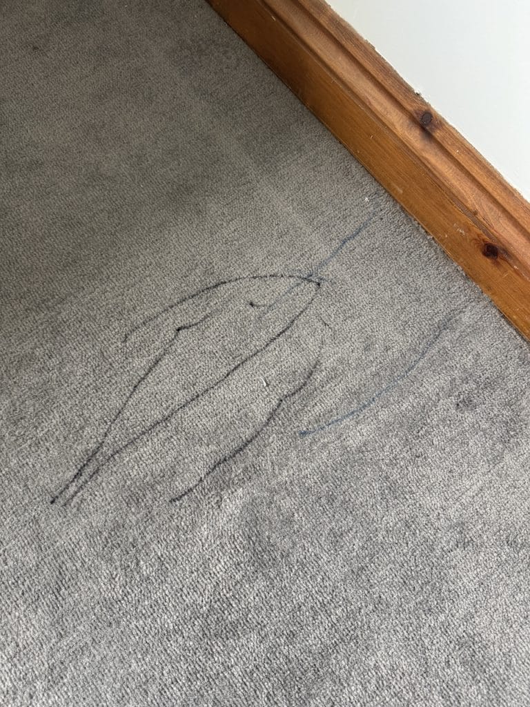 Black and blue Sharpie marker lines on a grey synthetic carpet in Burton Latimer