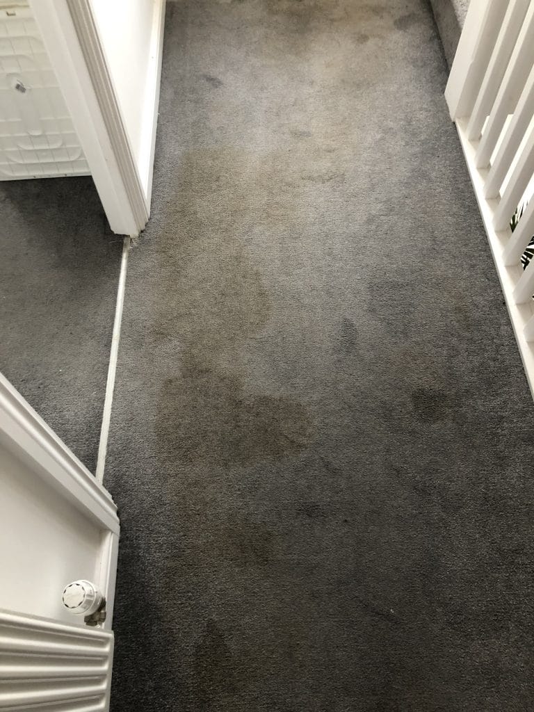 Heavily stained landing carpet before cleaning in Rushden