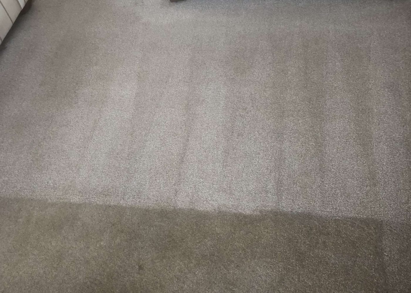 IMG_4201 say goodbye to dirty carpets!