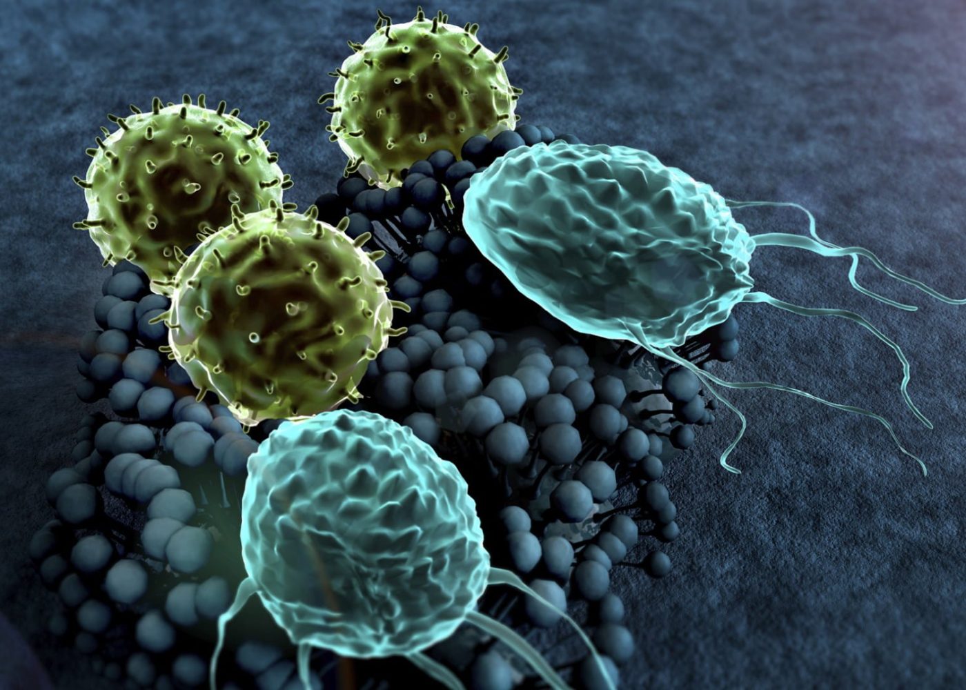 carpet-germs What-lurks-in-your-carpets